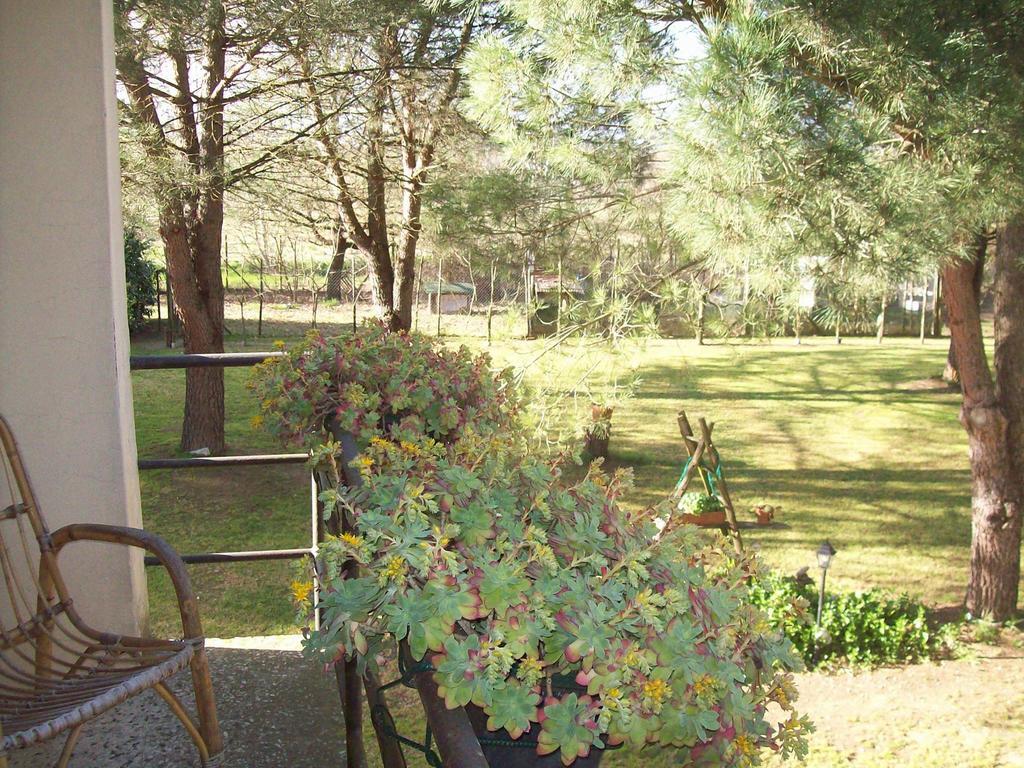Campo Alle Monache Bucine Værelse billede