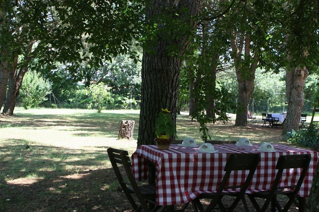 Campo Alle Monache Bucine Eksteriør billede