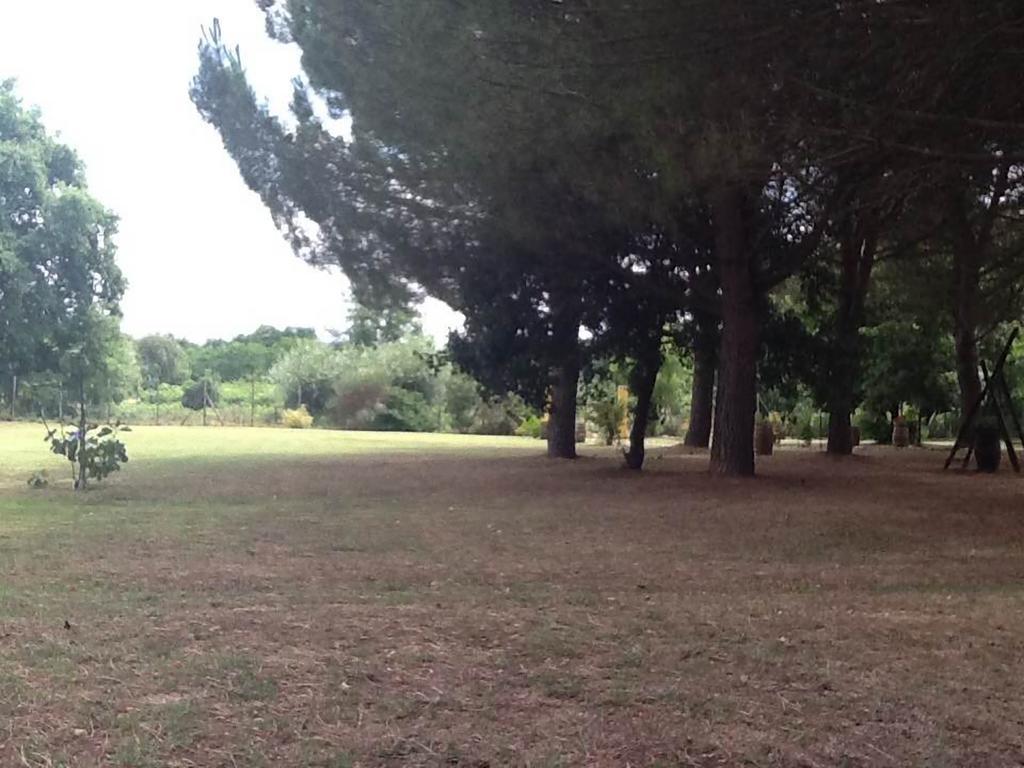 Campo Alle Monache Bucine Eksteriør billede