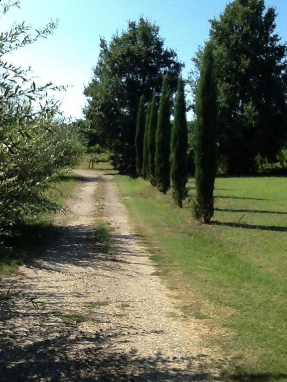 Campo Alle Monache Bucine Eksteriør billede