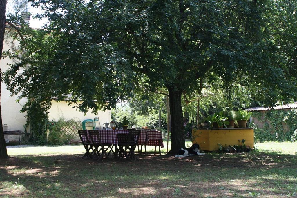 Campo Alle Monache Bucine Værelse billede
