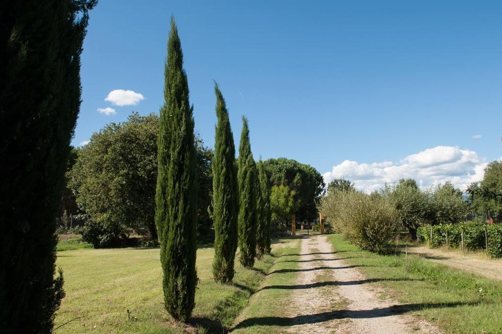 Campo Alle Monache Bucine Eksteriør billede