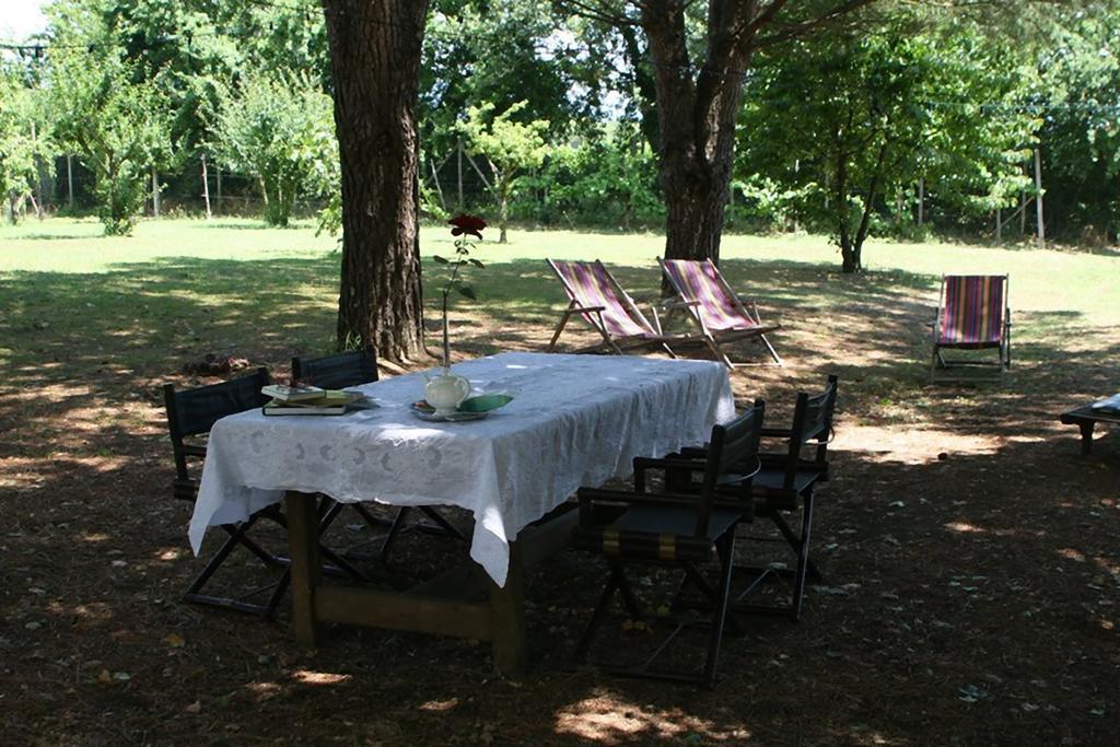 Campo Alle Monache Bucine Eksteriør billede