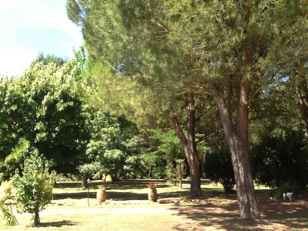 Campo Alle Monache Bucine Eksteriør billede
